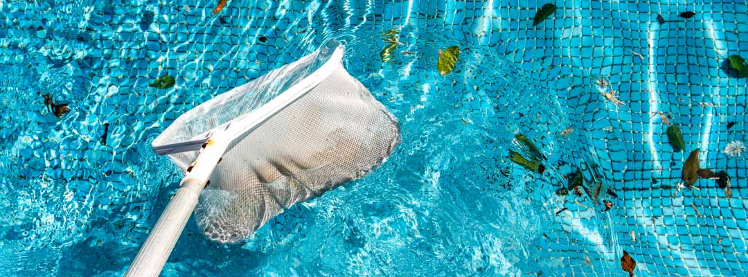 Cómo mantener tu piscina durante el verano